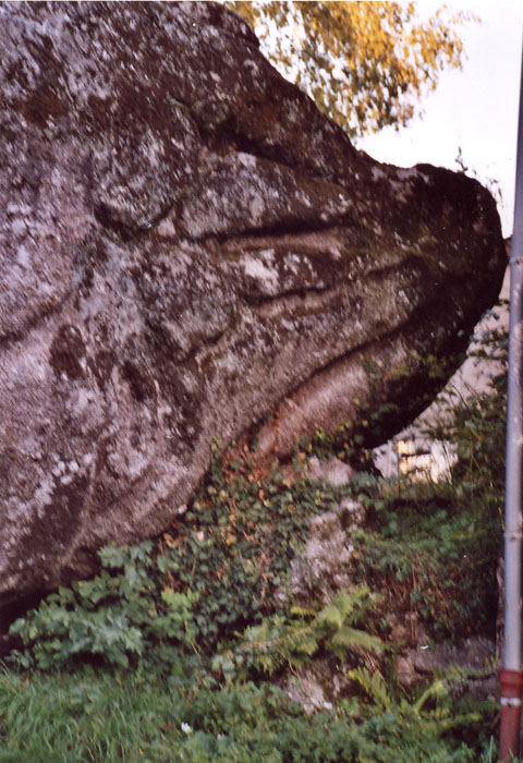pierre1