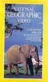 National Geographic : La Vie Sauvage Africaine (VHS) Réalisateur : National Geographic Editeur : Hachette Découvrez les mystères de la naissance, de la mort et de la survie au cours decette rencontre fascinante avec le monde animal...